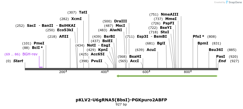 124777_map