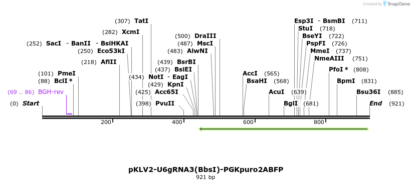 124779_map