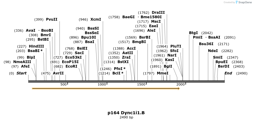 12478_map