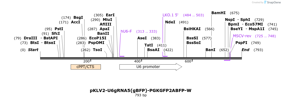 124781_map