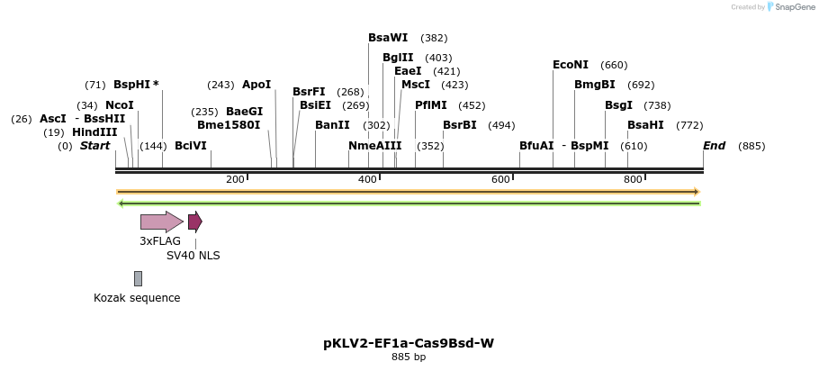 124784_map
