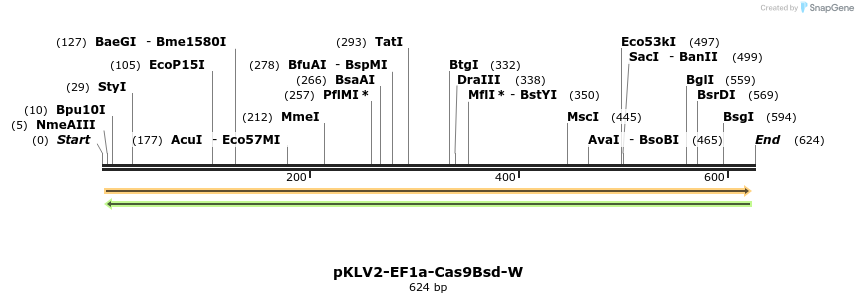 124786_map