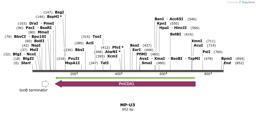 124788_map