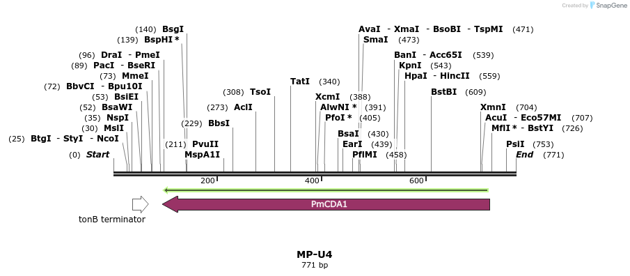 124789_map