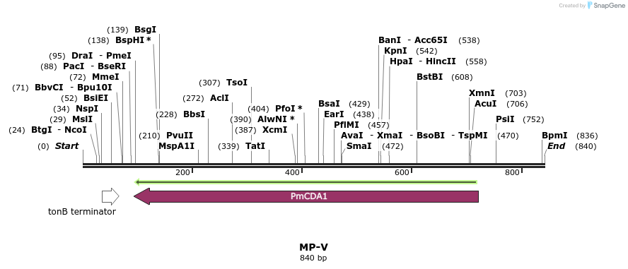 124790_map