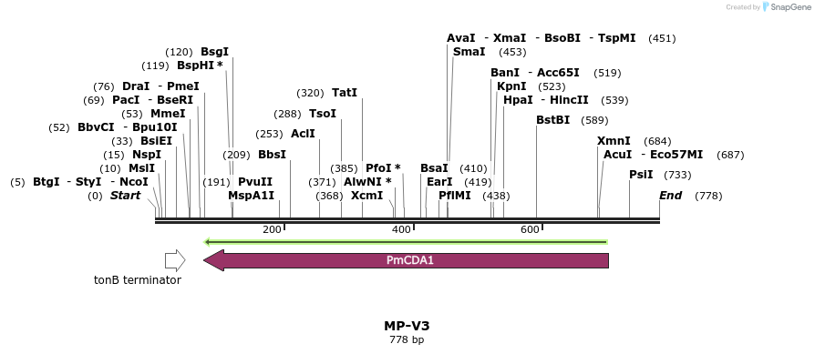 124792_map