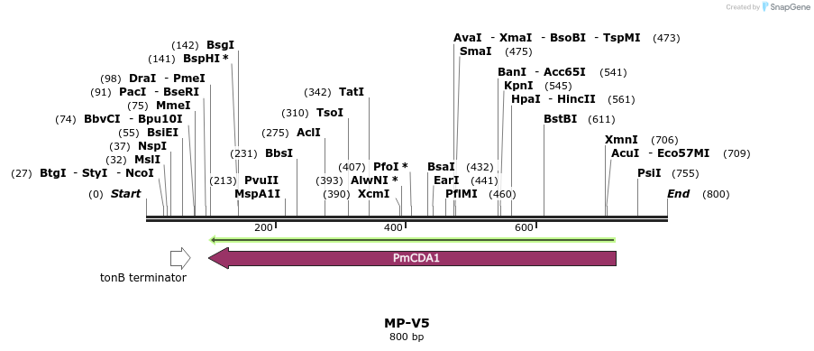 124793_map
