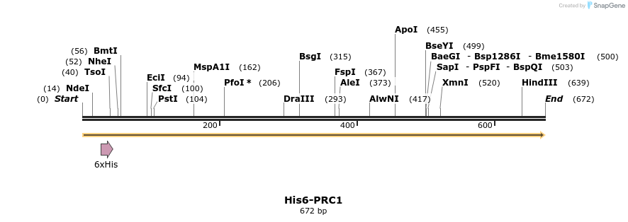 124795_map