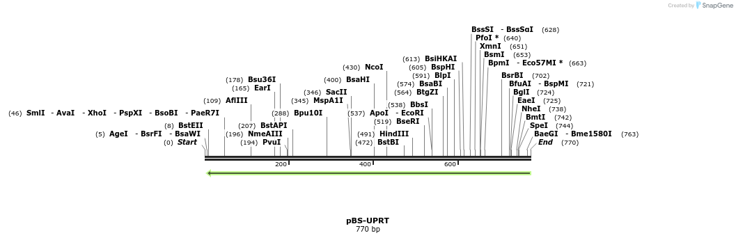 124796_map