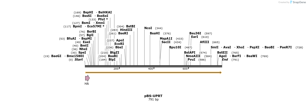 124799_map