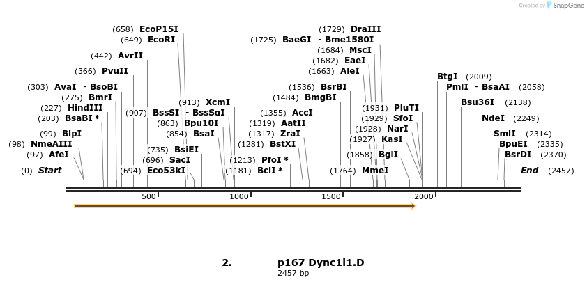 12480_map