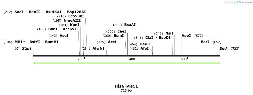 124801_map