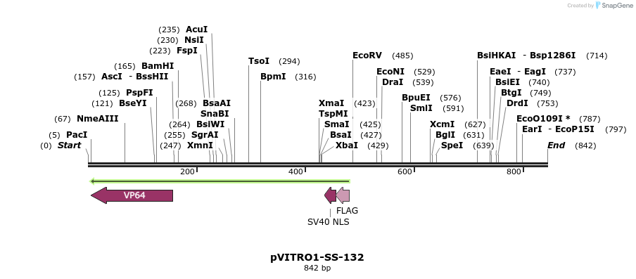 124804_map