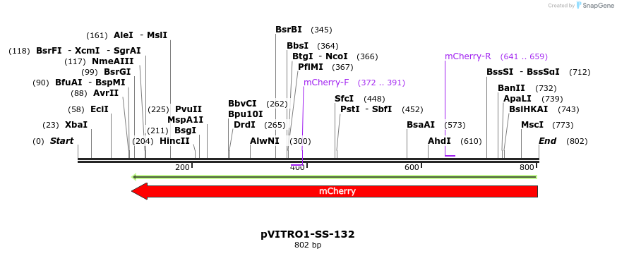 124805_map