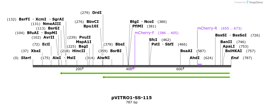 124808_map