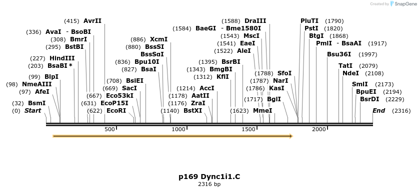 12481_map