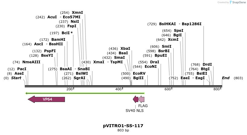 124812_map