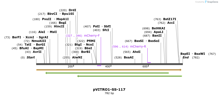 124813_map