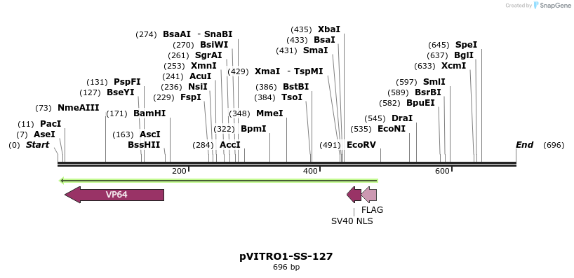 124815_map