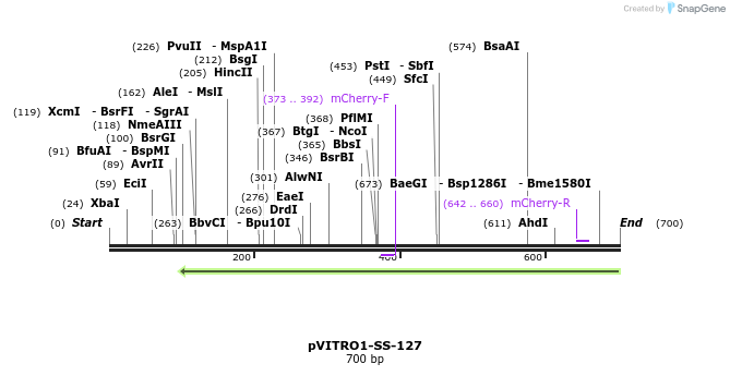 124816_map