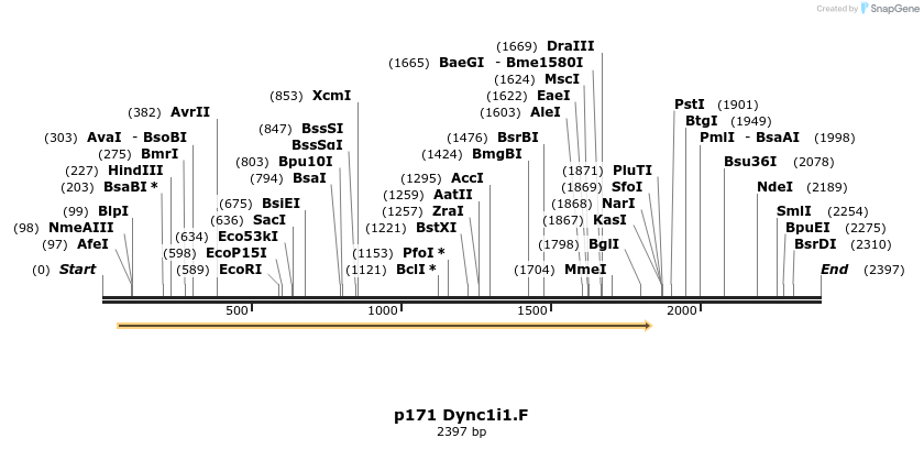 12482_map