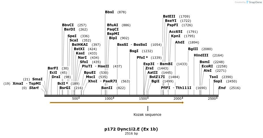 12483_map
