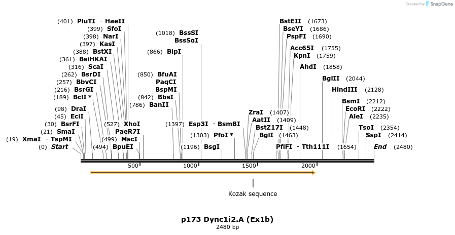 12484_map