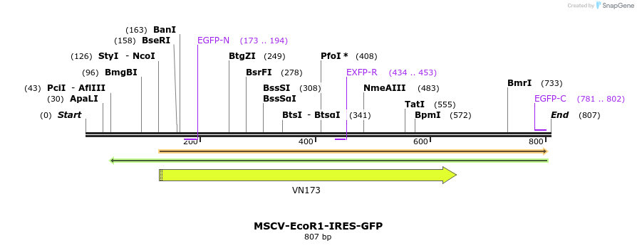 124841_map
