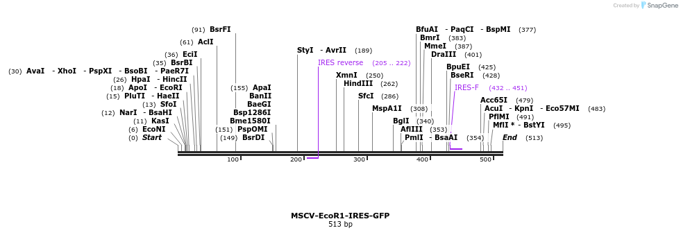 124842_map