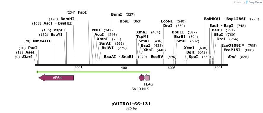124843_map