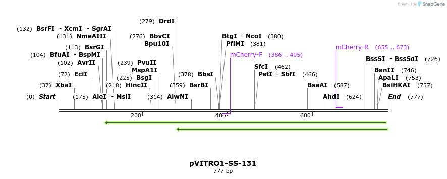 124844_map