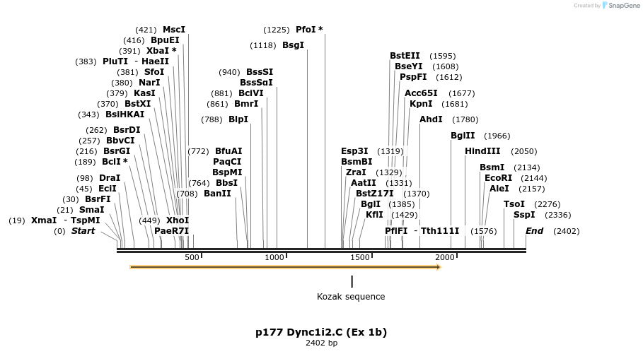 12486_map