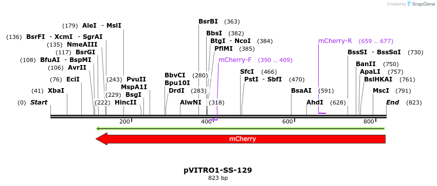 124861_map