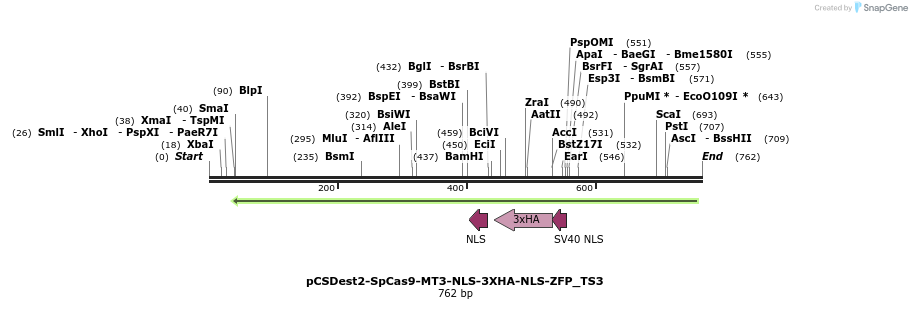 124867_map