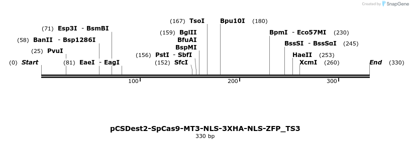 124868_map