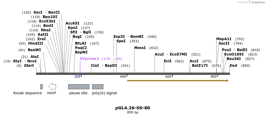 124872_map