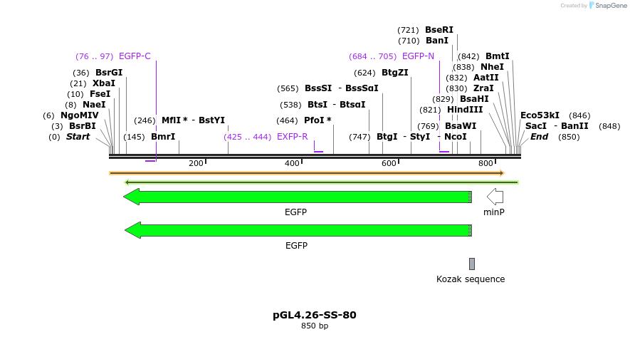 124873_map