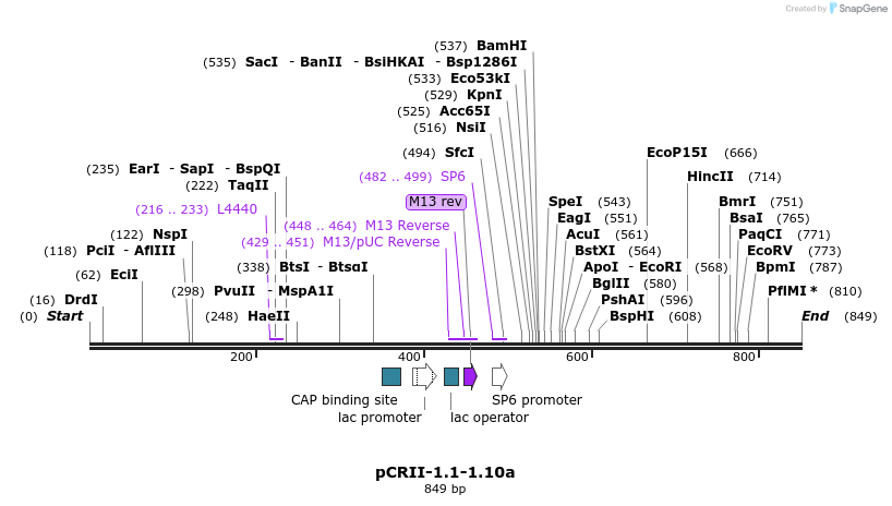 124874_map