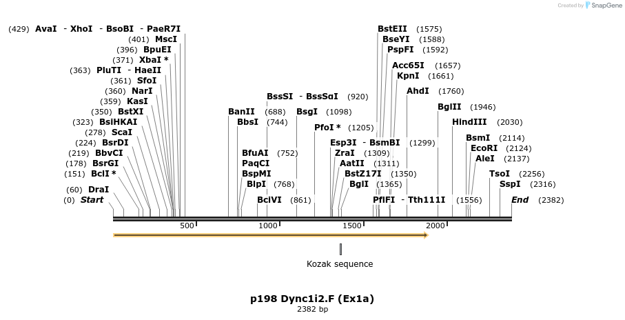 12489_map