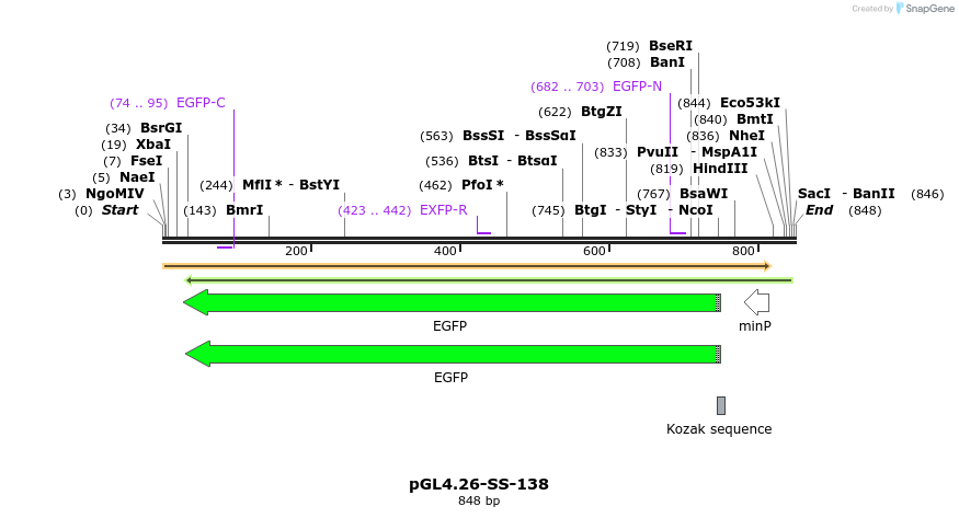 124890_map