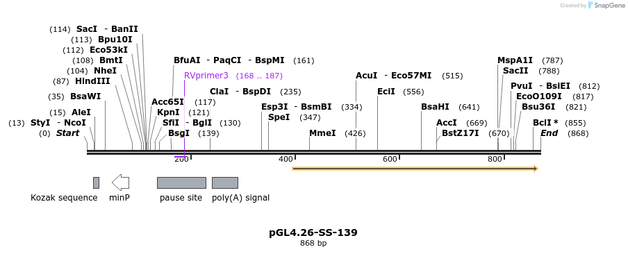 124891_map