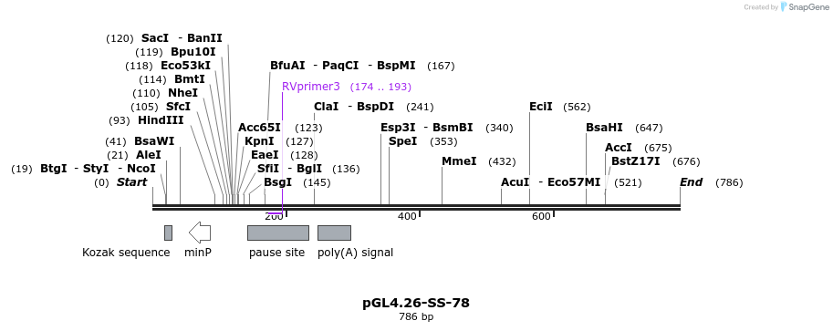 124893_map