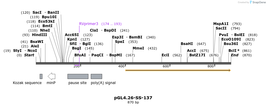 124896_map