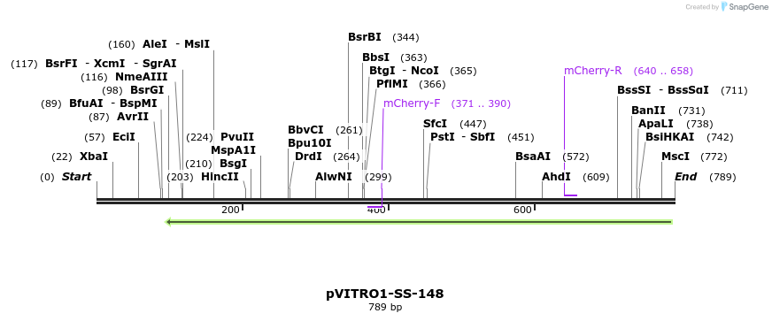 124898_map