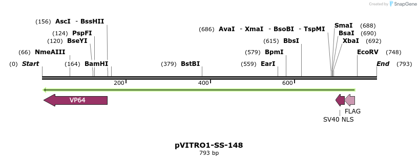 124899_map