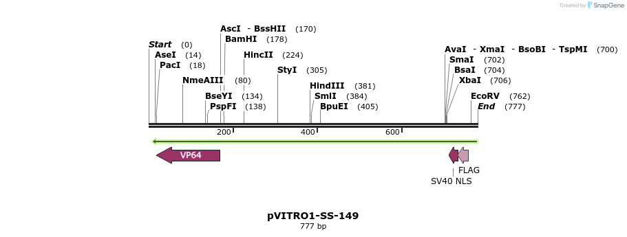 124900_map