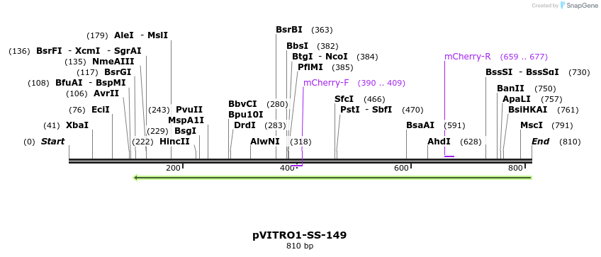 124901_map