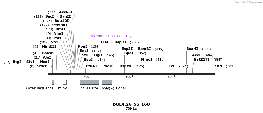 124902_map