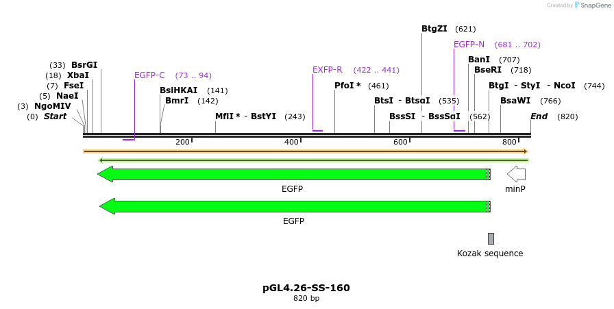 124903_map
