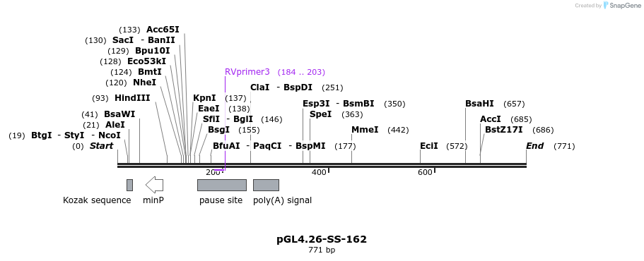 124904_map